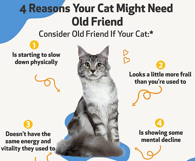 Cat Health Checklist